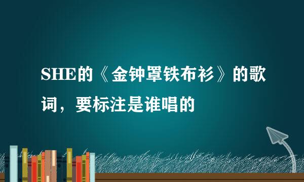 SHE的《金钟罩铁布衫》的歌词，要标注是谁唱的