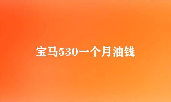 宝马530一个月油钱