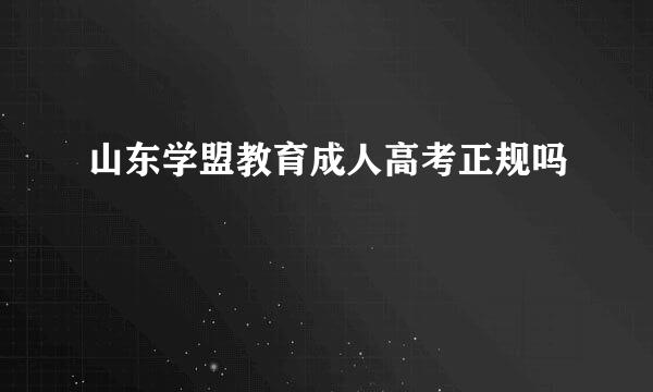 山东学盟教育成人高考正规吗