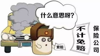 不计免赔是什么意思？