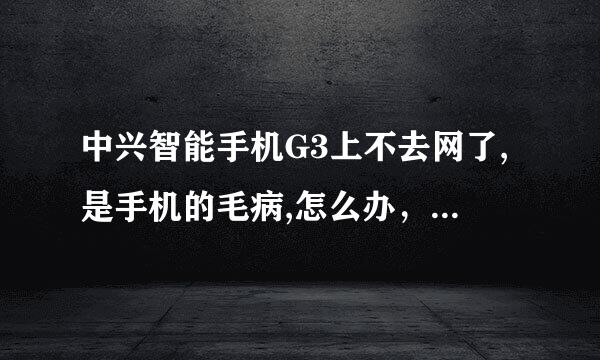 中兴智能手机G3上不去网了,是手机的毛病,怎么办，我已经恢复出厂设置了，还是不行，求高人相救