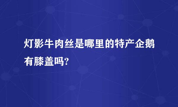 灯影牛肉丝是哪里的特产企鹅有膝盖吗?