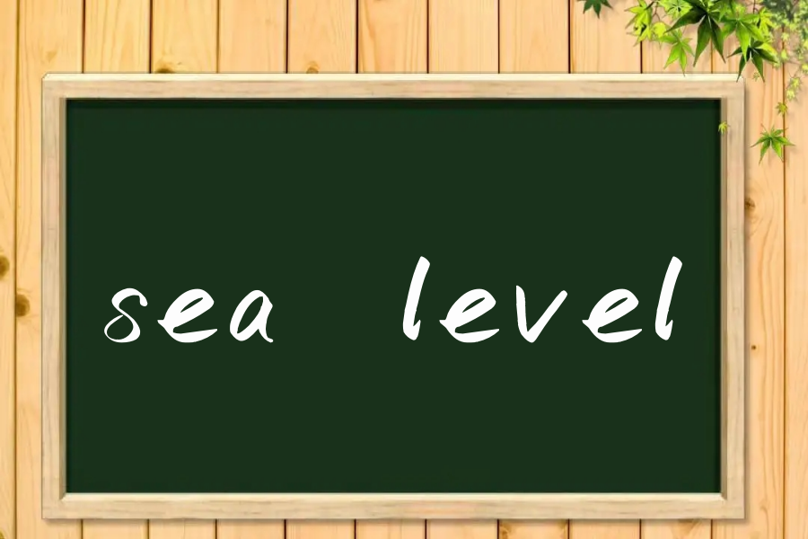 sea level是什么意思