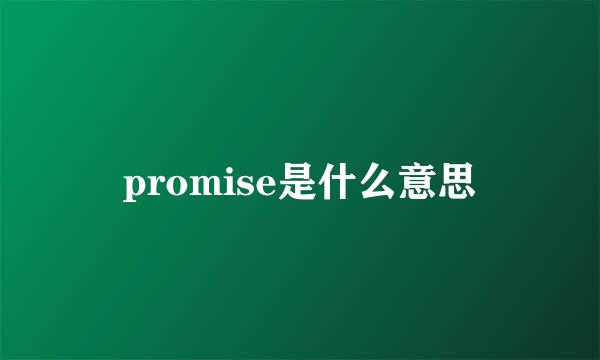 promise是什么意思