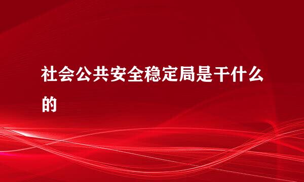 社会公共安全稳定局是干什么的