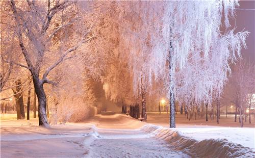 广东下过雪吗