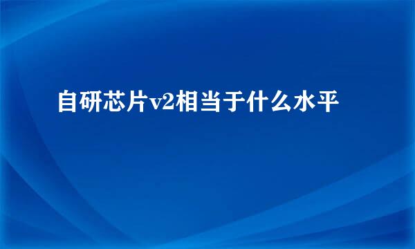 自研芯片v2相当于什么水平