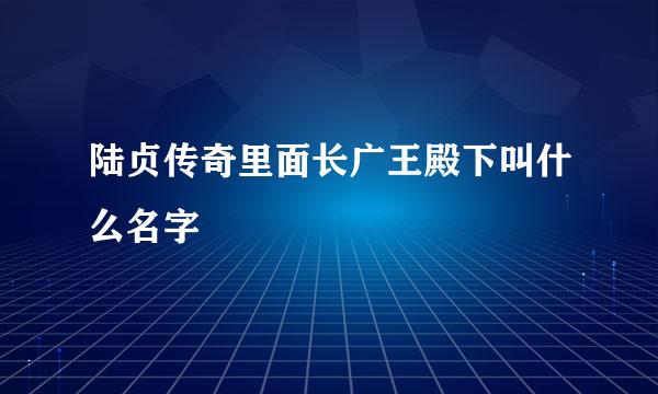 陆贞传奇里面长广王殿下叫什么名字