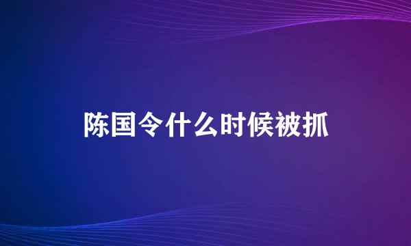 陈国令什么时候被抓