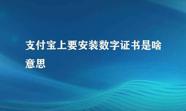 支付宝上要安装数字证书是啥意思