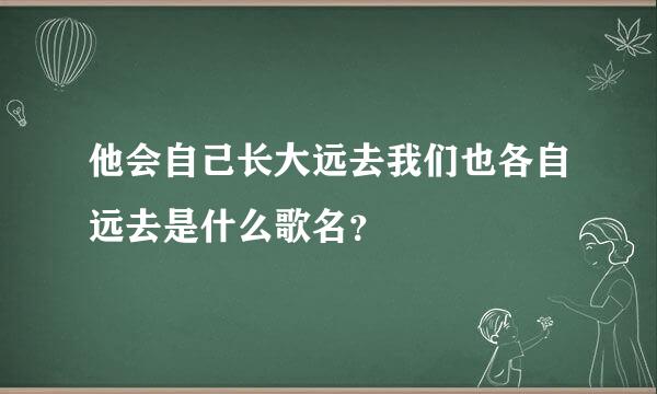 他会自己长大远去我们也各自远去是什么歌名？