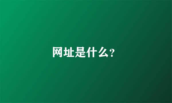 网址是什么？