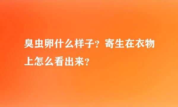 臭虫卵什么样子？寄生在衣物上怎么看出来？