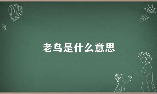 老鸟是什么意思