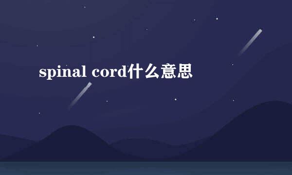 spinal cord什么意思