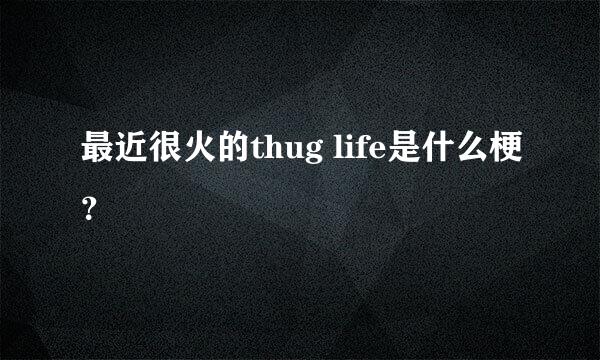 最近很火的thug life是什么梗？