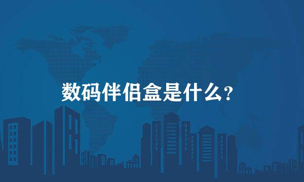 数码伴侣盒是什么？