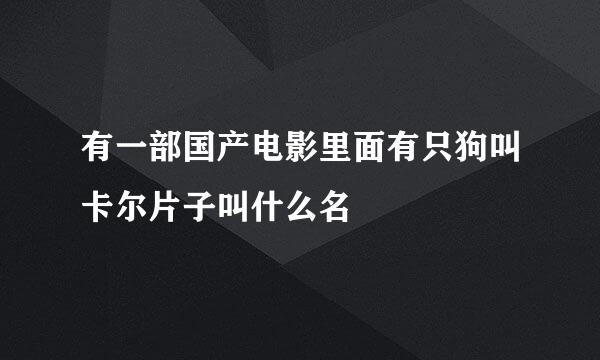 有一部国产电影里面有只狗叫卡尔片子叫什么名