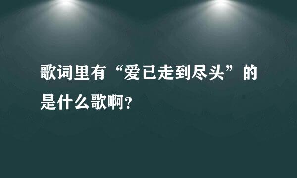 歌词里有“爱已走到尽头”的是什么歌啊？