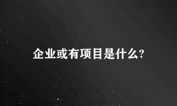 企业或有项目是什么?