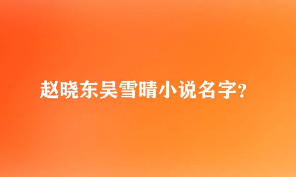 赵晓东吴雪晴小说名字？