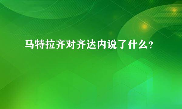 马特拉齐对齐达内说了什么？