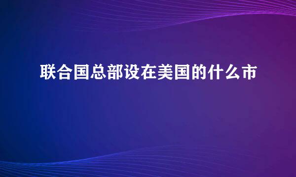 联合国总部设在美国的什么市