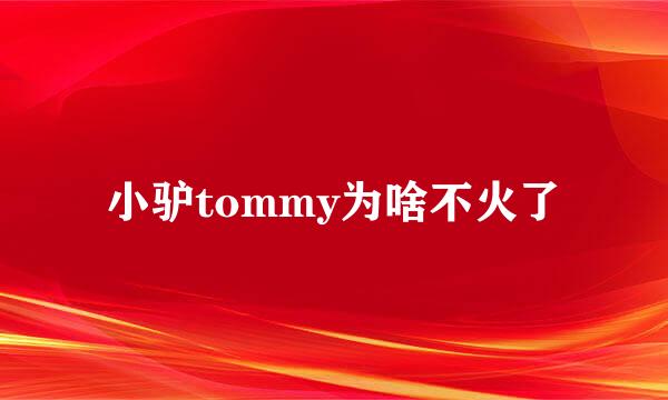 小驴tommy为啥不火了