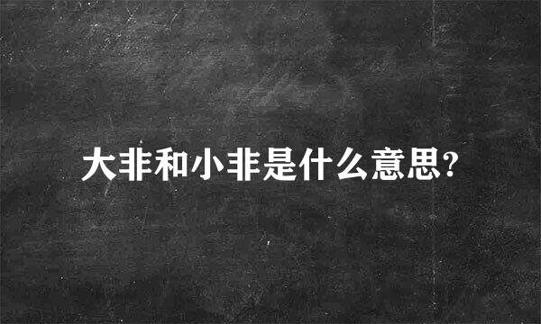 大非和小非是什么意思?