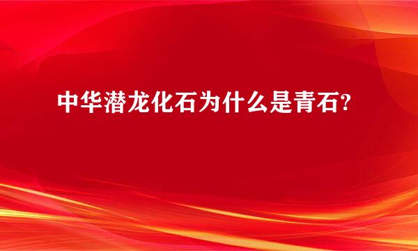 中华潜龙化石为什么是青石?