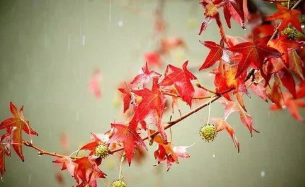 秋天的雨分别从哪三个方面写了秋天的雨