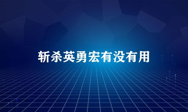 斩杀英勇宏有没有用