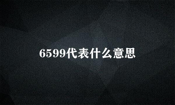 6599代表什么意思