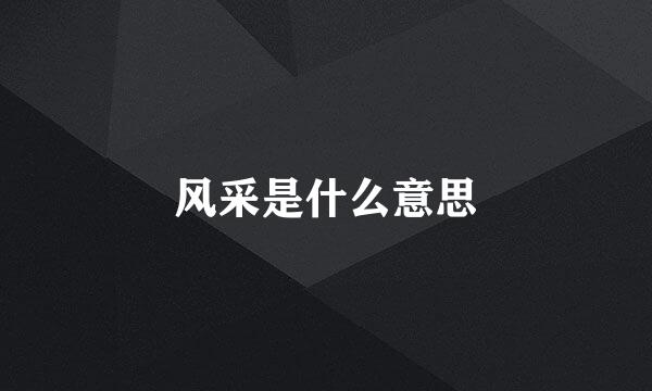 风采是什么意思