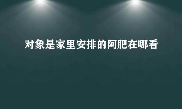 对象是家里安排的阿肥在哪看