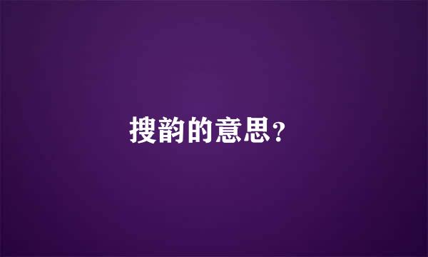 搜韵的意思？