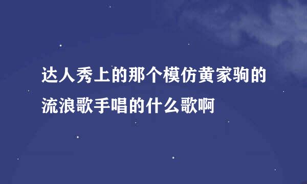 达人秀上的那个模仿黄家驹的流浪歌手唱的什么歌啊