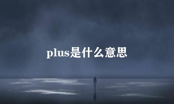 plus是什么意思