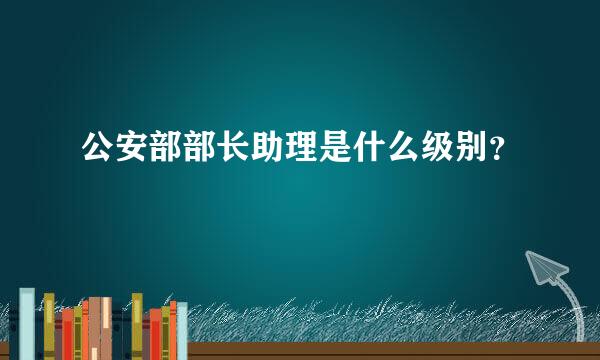 公安部部长助理是什么级别？