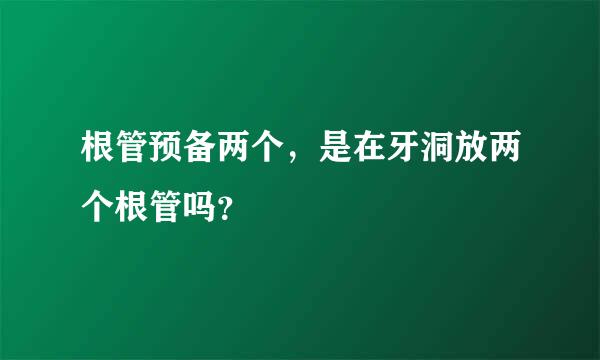 根管预备两个，是在牙洞放两个根管吗？