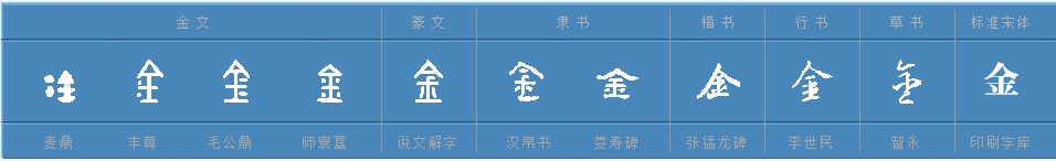 金字的笔顺笔画怎么写