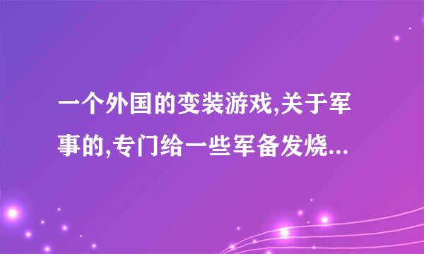 一个外国的变装游戏,关于军事的,专门给一些军备发烧友来YY的,好像是I开头,请问是什么