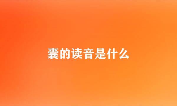 囊的读音是什么