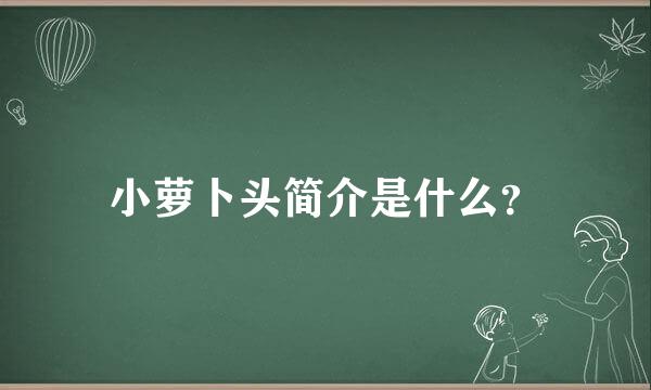 小萝卜头简介是什么？