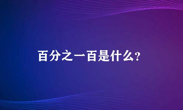 百分之一百是什么？