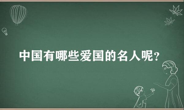 中国有哪些爱国的名人呢？