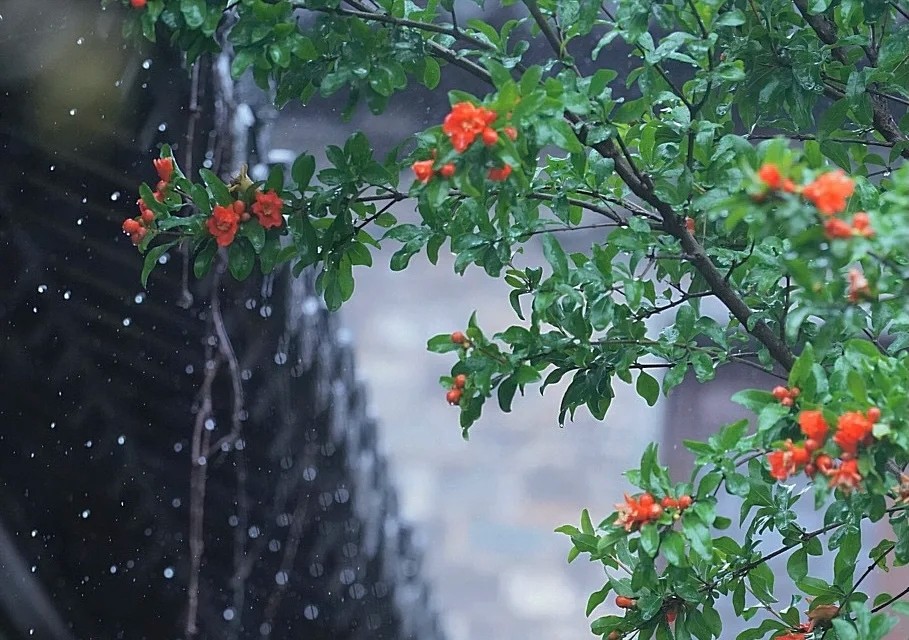 斜风细雨的意思