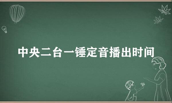 中央二台一锤定音播出时间