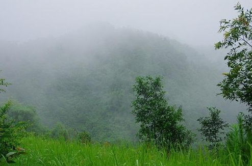 古诗《山雨》