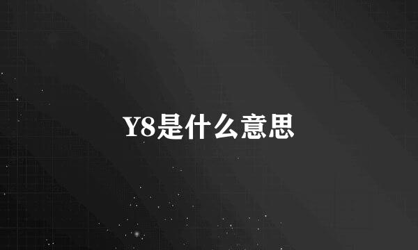 Y8是什么意思